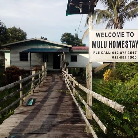 Mulu Homestay Εξωτερικό φωτογραφία