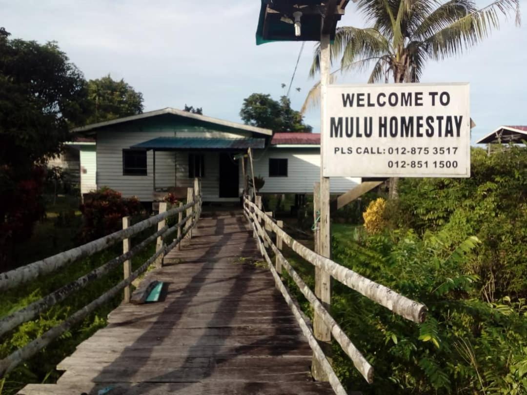 Mulu Homestay Εξωτερικό φωτογραφία