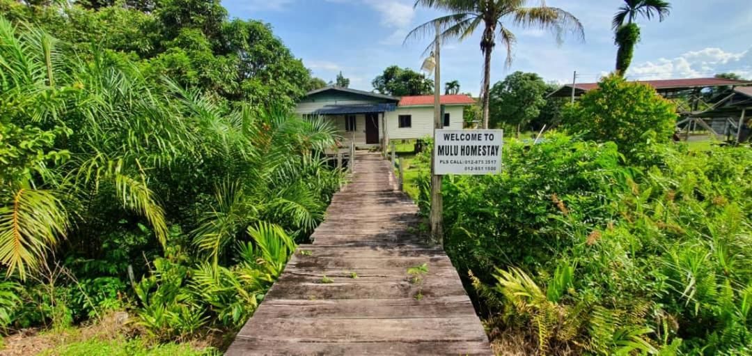 Mulu Homestay Εξωτερικό φωτογραφία