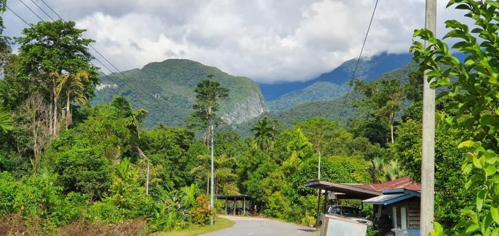 Mulu Homestay Εξωτερικό φωτογραφία