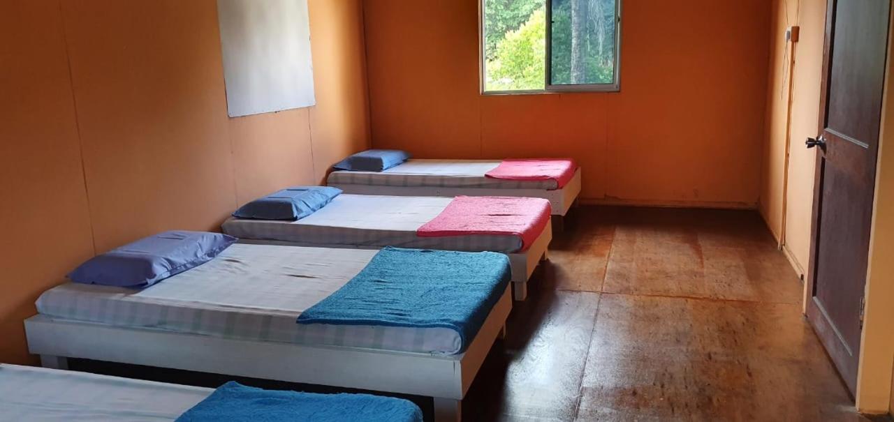 Mulu Homestay Εξωτερικό φωτογραφία