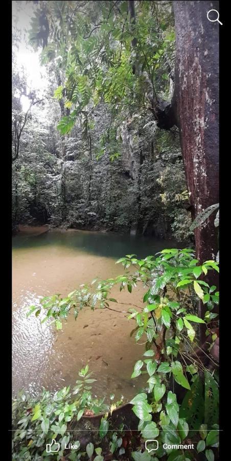 Mulu Homestay Εξωτερικό φωτογραφία